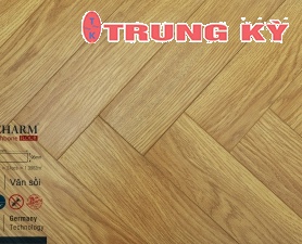 SÀN GỖ CAO CẤP TRUNG KỲ