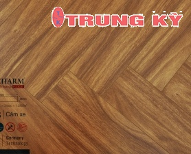 SÀN GỖ CAO CẤP TRUNG KỲ