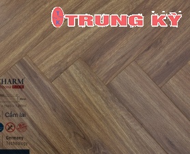 SÀN GỖ CAO CẤP TRUNG KỲ