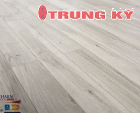 SÀN GỖ CAO CẤP TRUNG KỲ