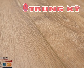 SÀN GỖ CAO CẤP TRUNG KỲ